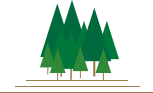 树林分隔符.jpg